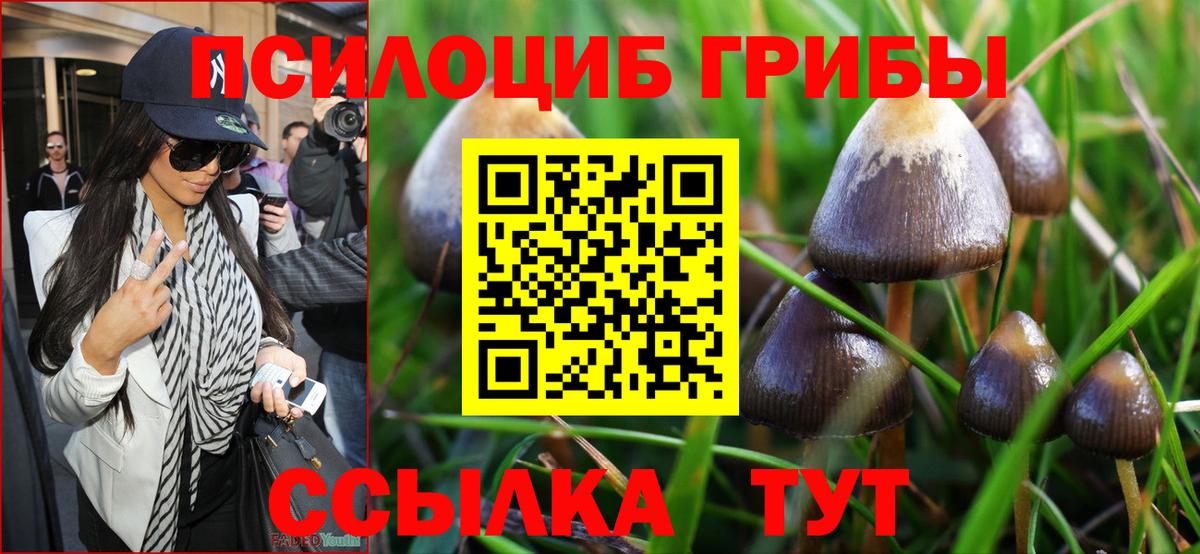 где найти   Галлюциногенные грибы ЛСД  Вход с VPN  Пушкино 