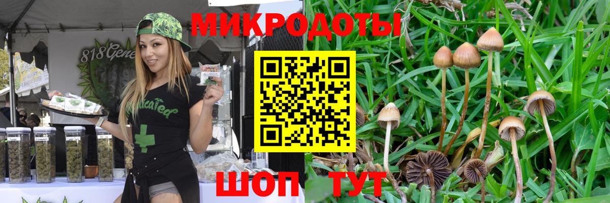 Галлюциногенные грибы прущие грибы Пушкино