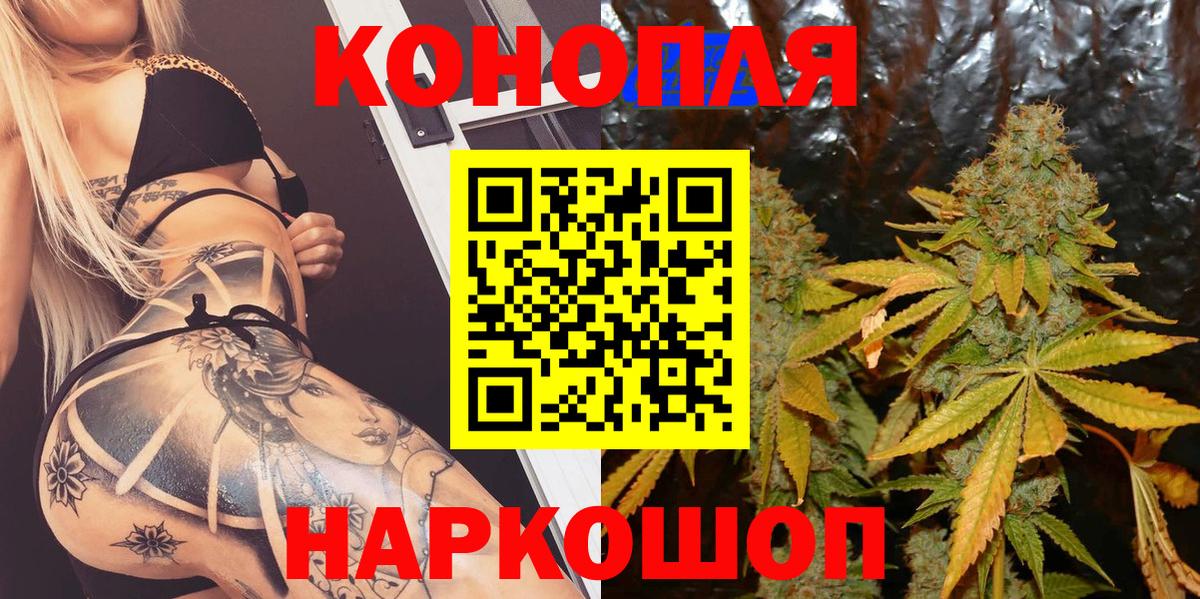 Марихуана план  Конопля Ganja  Вход с VPN  Бошки марихуана OG Kush  Марихуана Bruce Banner  Пушкино 